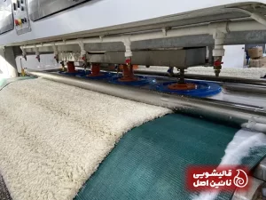 قالیشویی سهروردی