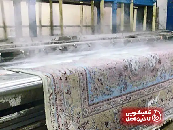 شستشوی تخصصی قالی ها