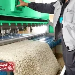 خدمات تخصصی شستشوی فرش در فرش شویی در سرآسیاب