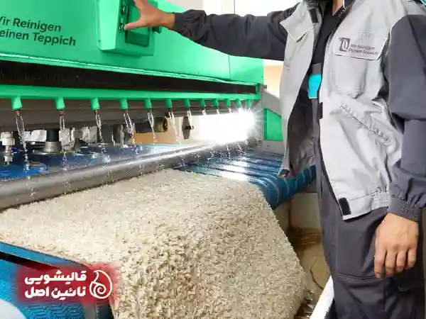 خدمات تخصصی شستشوی فرش در فرش شویی در سرآسیاب