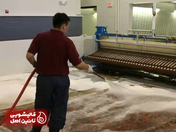 چرا انتخاب فرش شویی در امامت اهمیت دارد؟