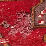 بیدخورگی فرش چیست و چرا اتفاق می افتد؟