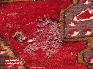 بیدخورگی فرش چیست و چرا اتفاق می افتد؟
