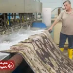 چرا انتخاب یک فرش شویی در شمال تهران اهمیت دارد؟